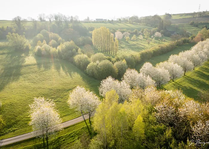 Cote Verger Bed & Breakfast Battice